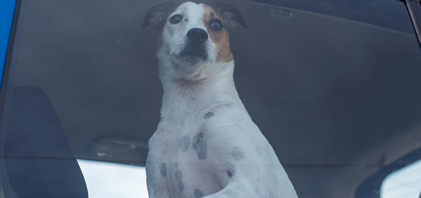 Car Lockout Solutions in South San Francisco, California